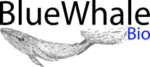 logo: BlueWhale Bio