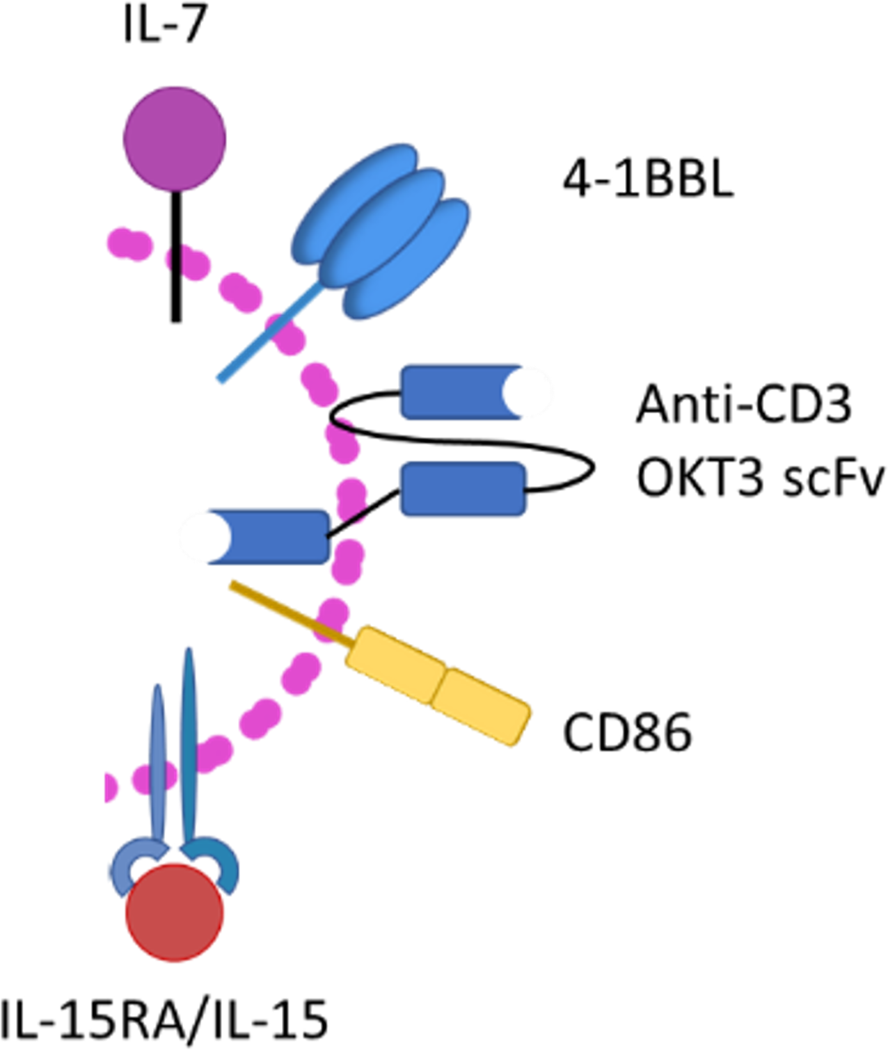 Synecta t1 cdnp diagram