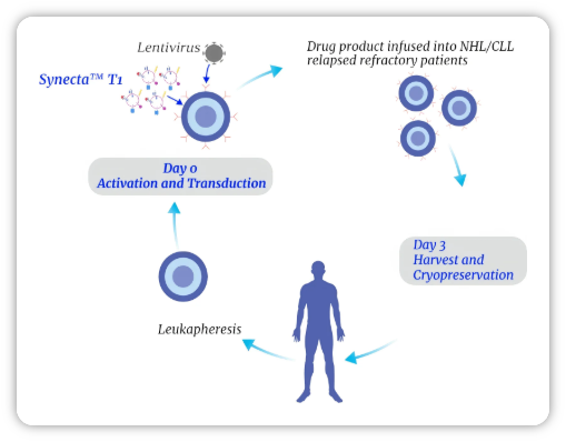 Dmf for clinical trials