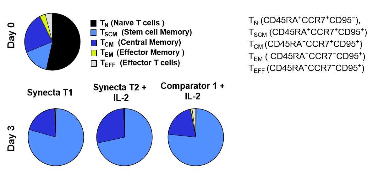T2 Data